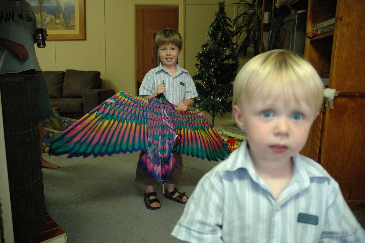 Jake with his big kite, and Flynn not interested at Woronora after Christmas Eve Mass