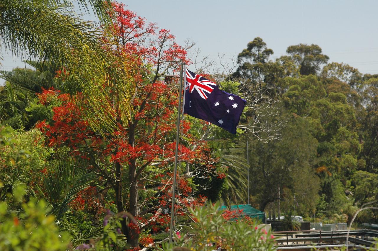 Christmas foliage on Woronora River downstream from Cameron and Michelle's on Christmas morning