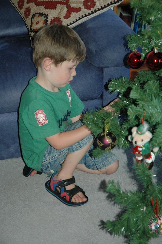 Jake decorating the Illawong Christmas tree