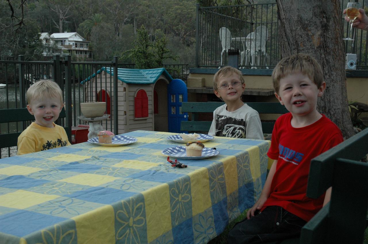 Flynn Crofts, Tynan Wallace and Jake Crofts at Flynn's delayed second birthday party