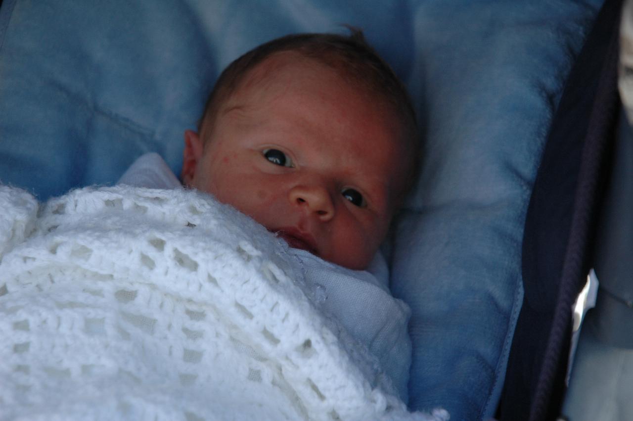 Six day old Cooper Wallace in his stroller