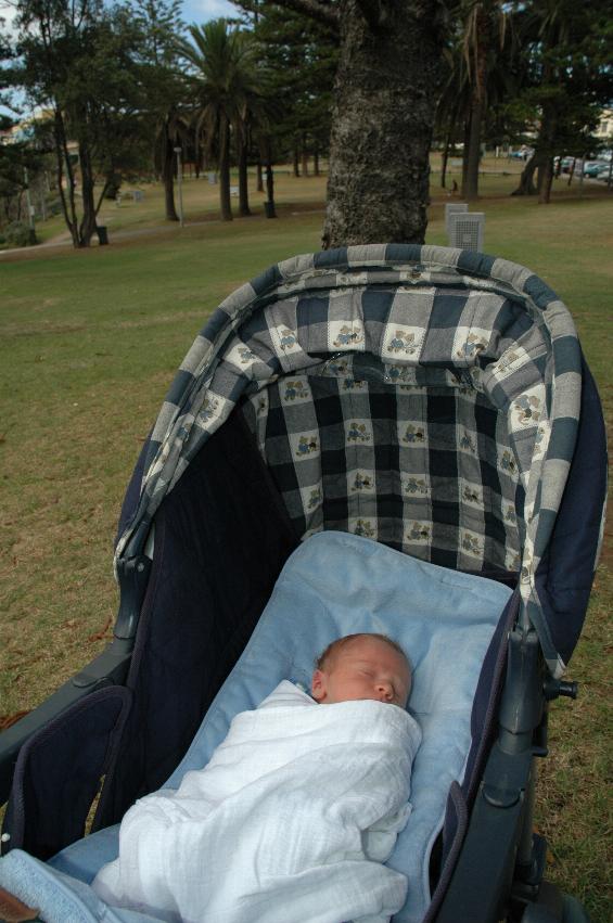 Six day old Baby Cooper in his stroller at Cronulla Park - first beach visit