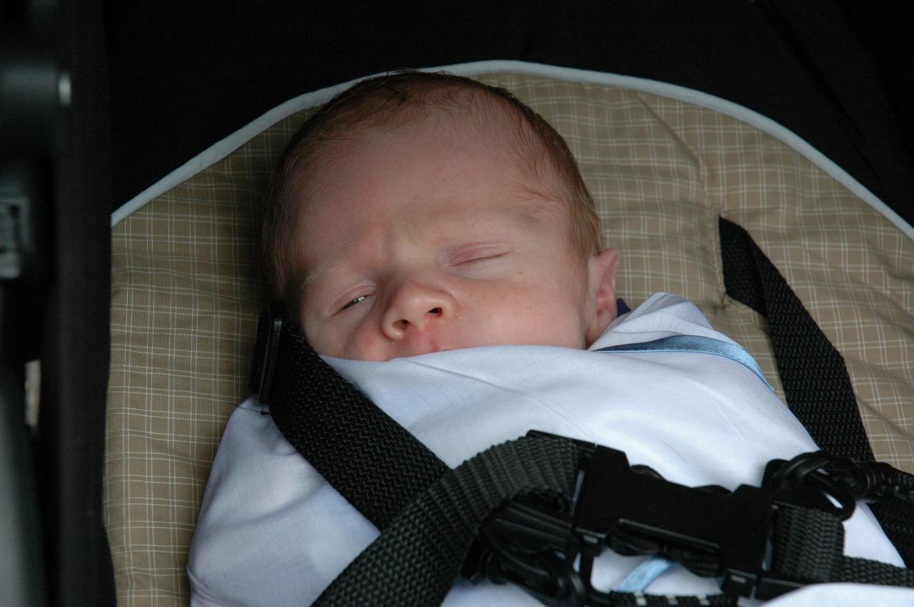 Baby Cooper Wallace strapped into his pram for a walk