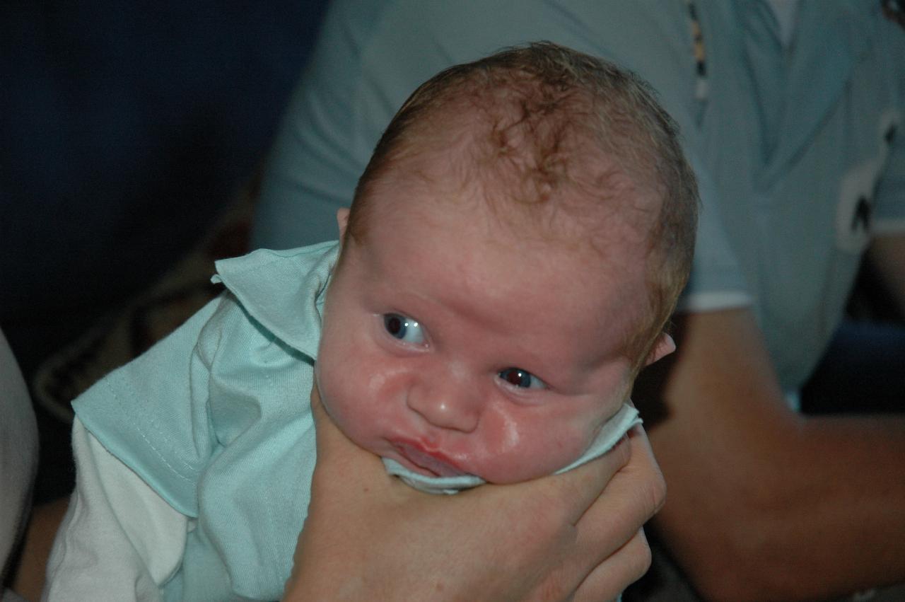 Baby Cooper Wallace, just after feeding in Kelly's arms at Illawong family dinner night