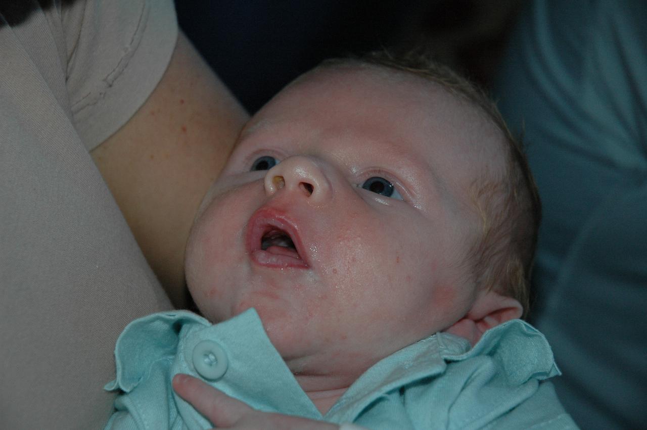 Baby Cooper Wallace in his mum's arms at Illawong family dinner night