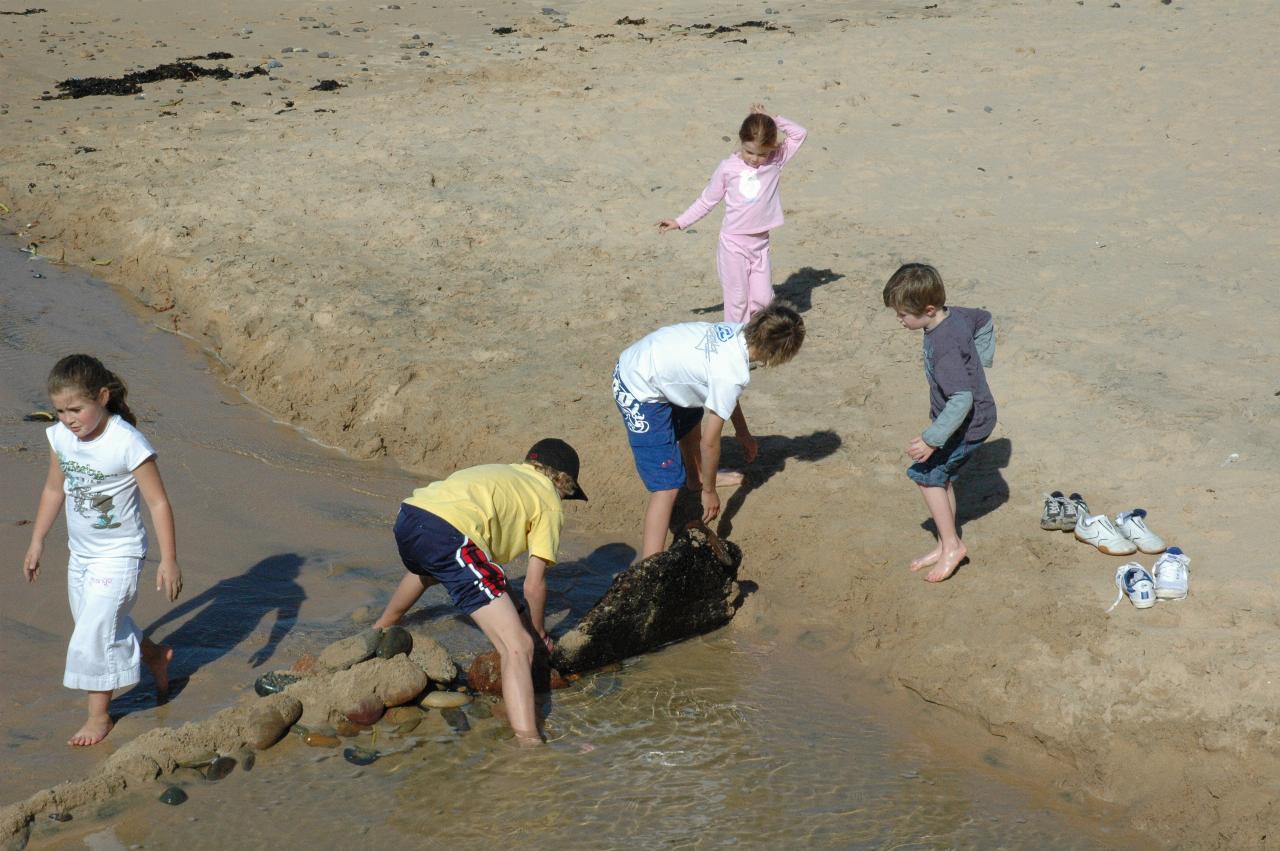 Mother's Day at Thirroul: Crofts clan building a dam