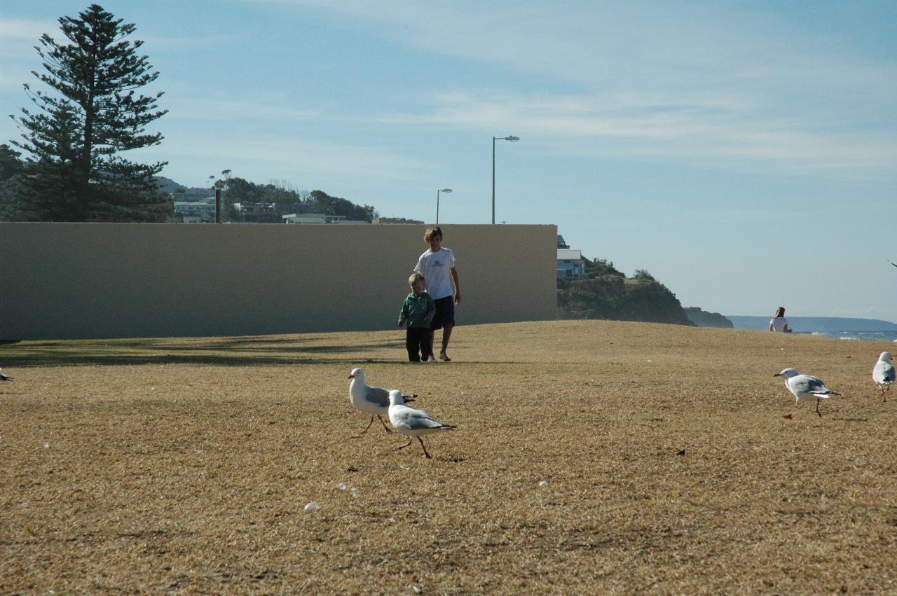 Mother's Day at Thirroul: Gile Crofts bringing Flynn back after a hiccup