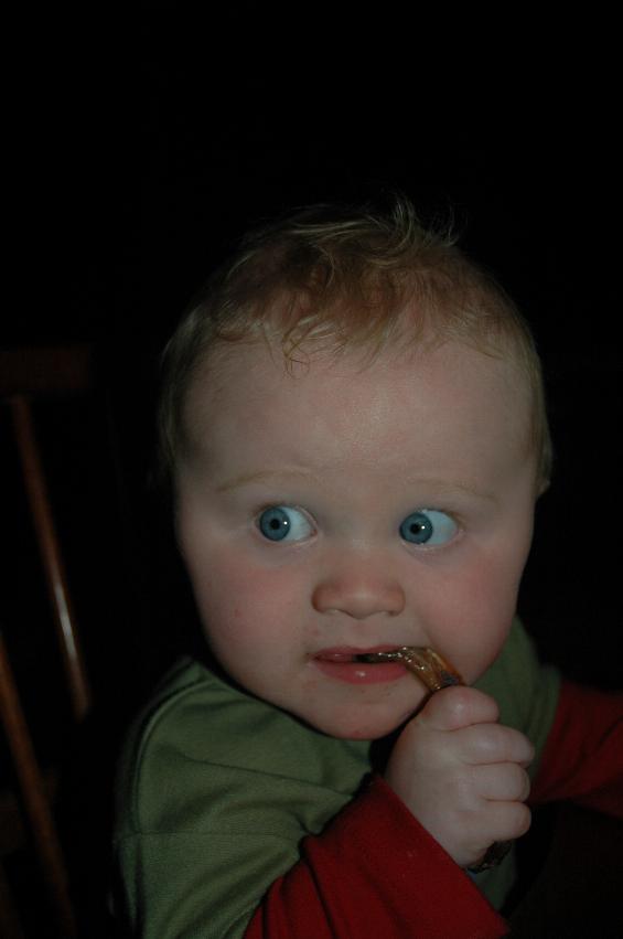 Cooper sucking on his bone at Illawong for family dinner night