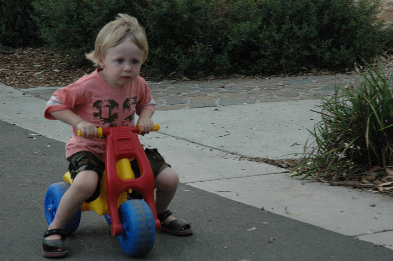 Flynn riding his trike at Como Pleasure Grounds for family picnic