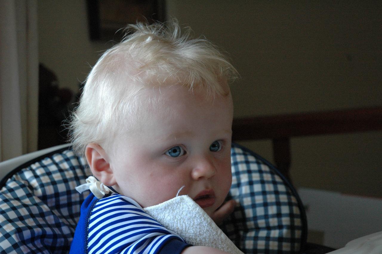 Christmas at Currey's: Cooper at the dinner table