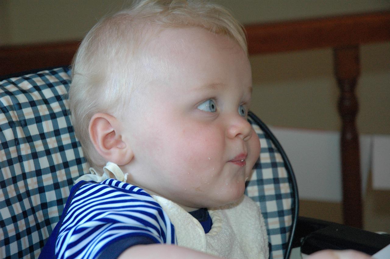 Christmas at Currey's: Cooper at the dinner table