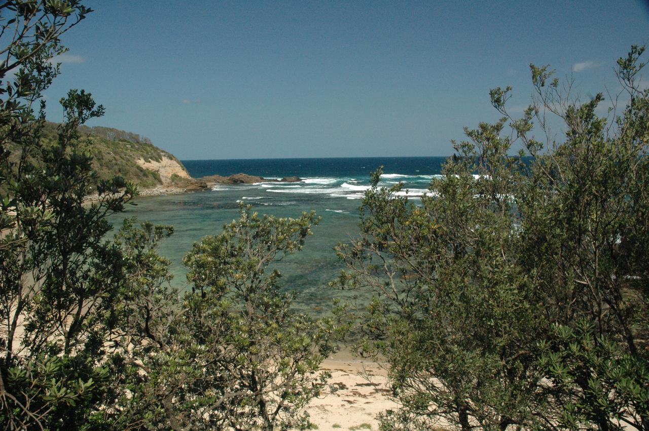 One Tree (since vandalised) Beach at Bendalong