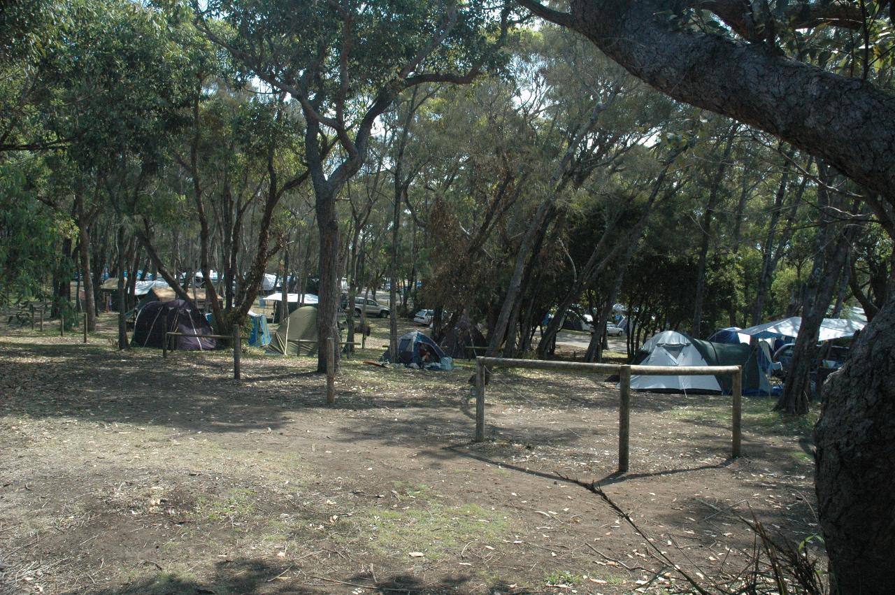 Rather busy Bendalong camp ground