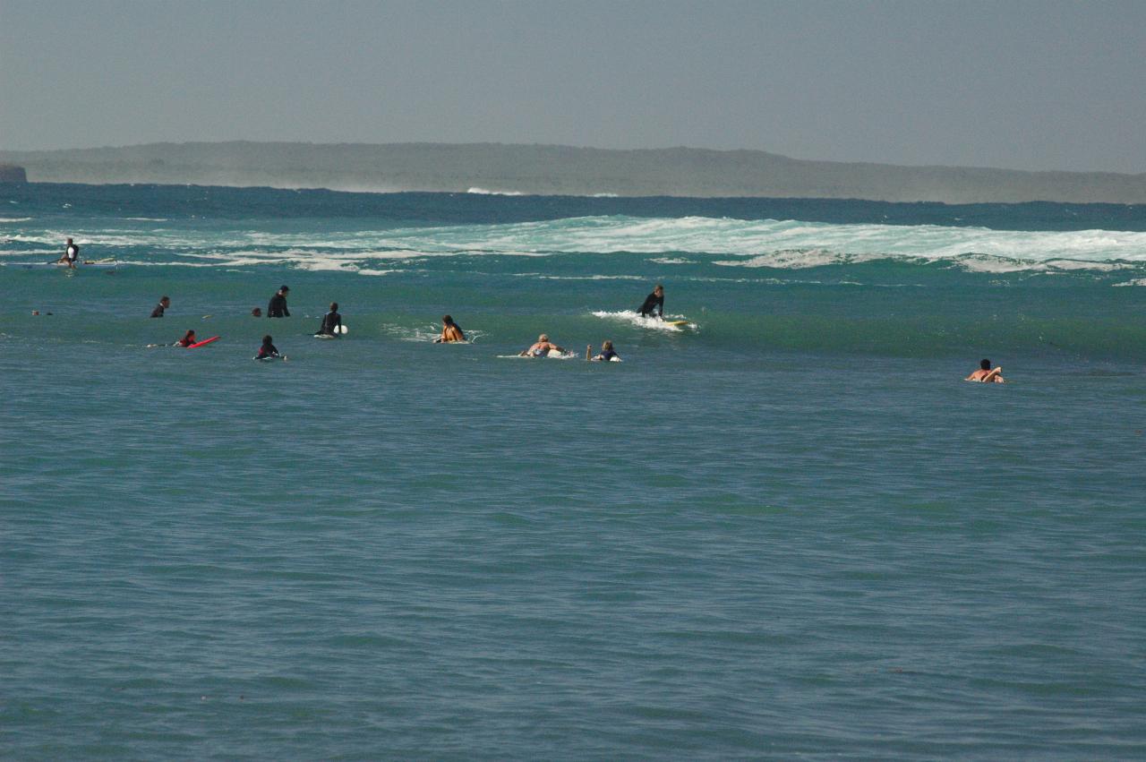 Surf board riders off Boat Harbour Beach at Bendalong