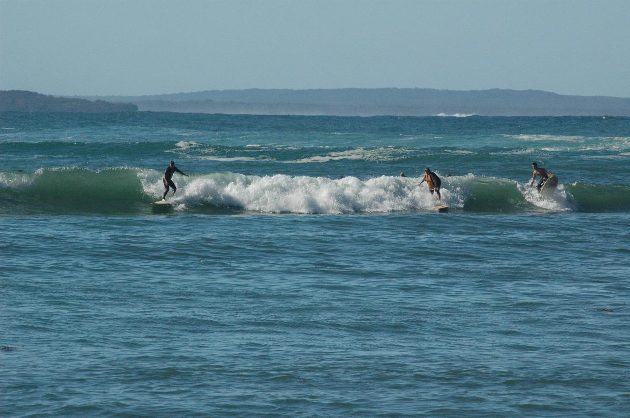 Surf board riders off Boat Harbour Beach at Bendalong