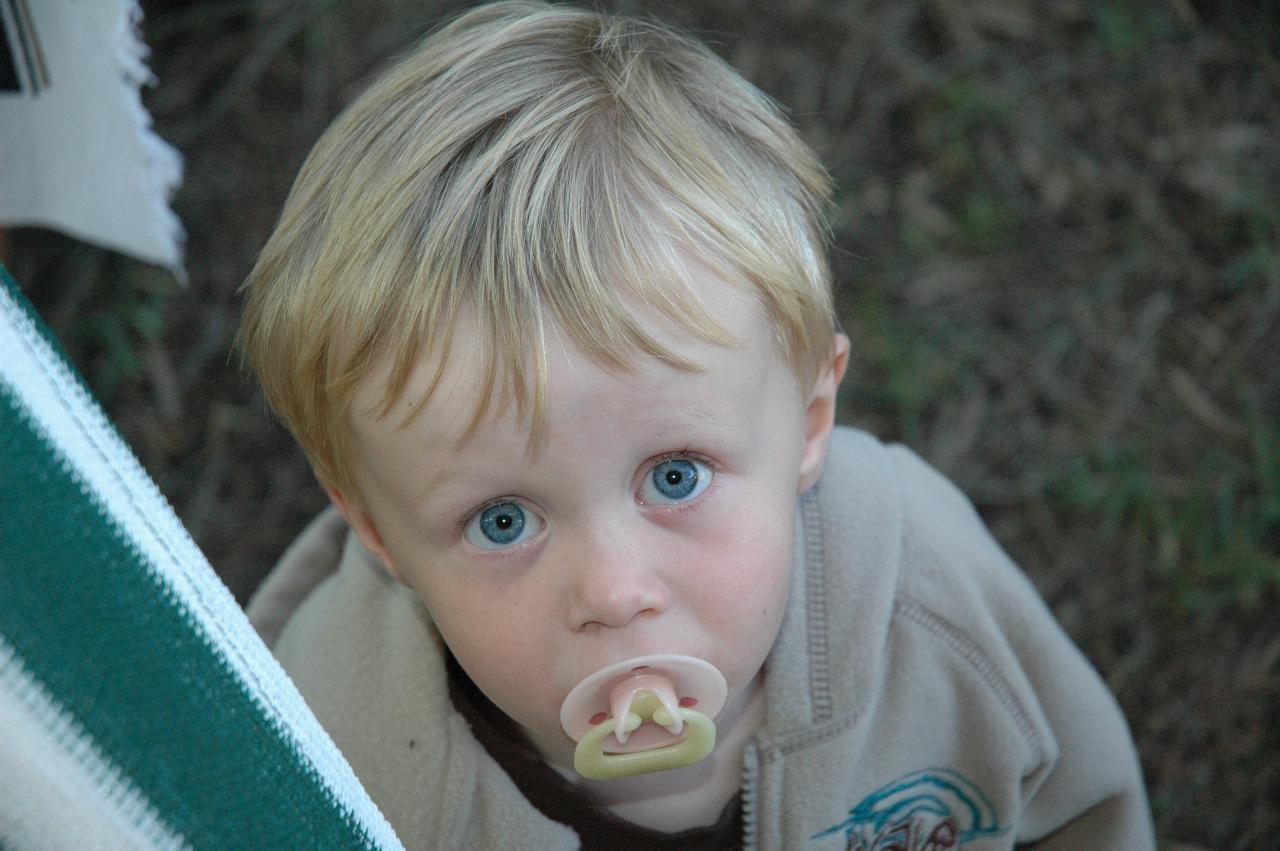 Flynn hiding behind canopy cover at Bendalong, Easter