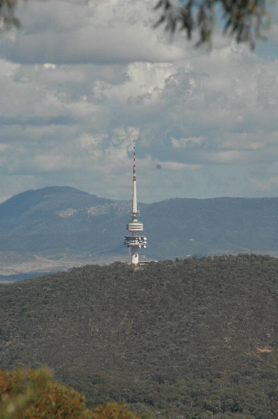 Telstra Tower, on Black Mountain, from Mt. Ainlsie