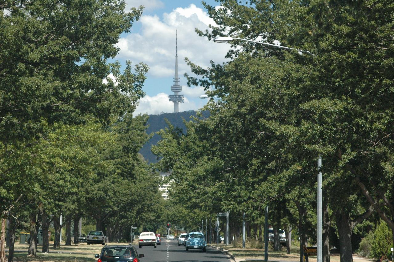 Telstra Tower and Black Mountain, from Majura Avenue, Dickson