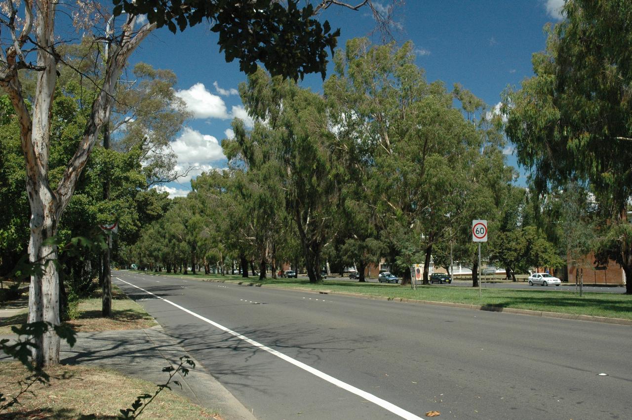 Northbourne Avenue near Hotel Rex