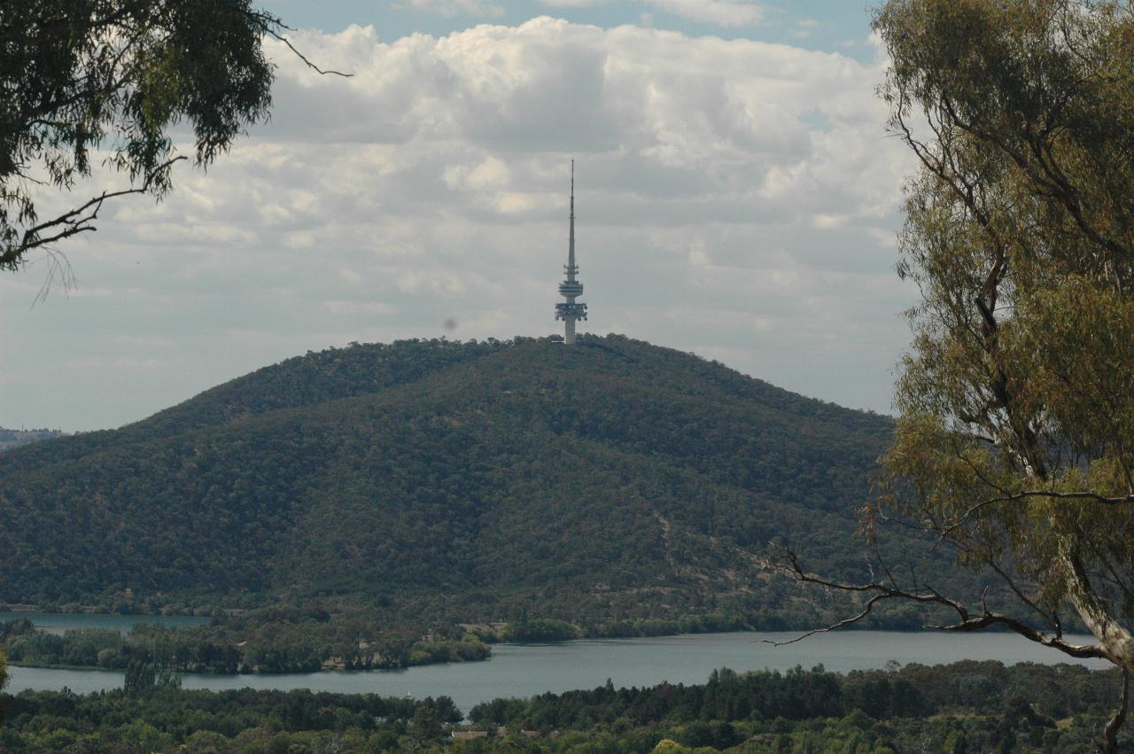 Telstra Tower atop Black Mountain, from Red Hill