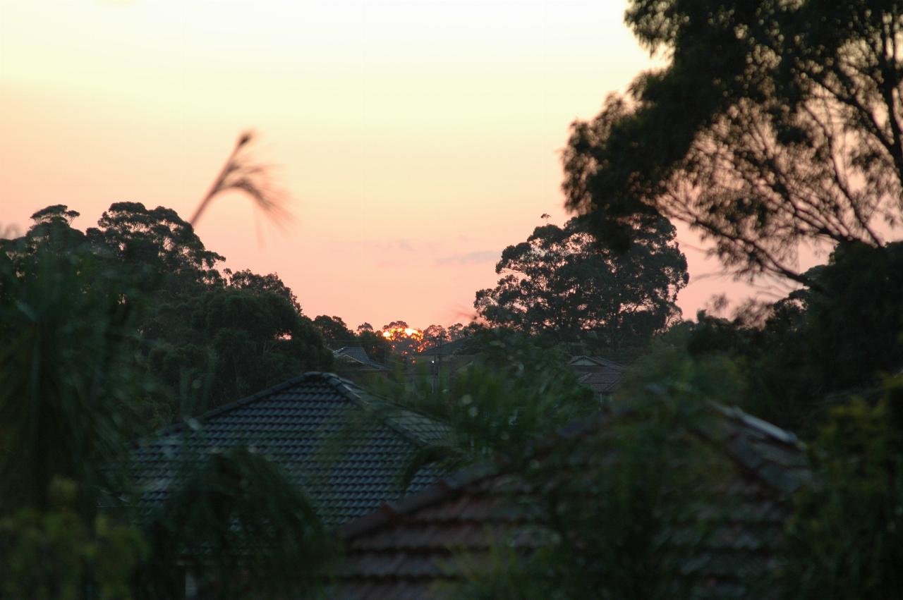 Comet Macnaught Watch: Sunset from Gibson Ave, Padstow