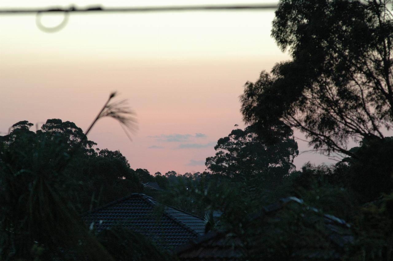 Comet Macnaught Watch: Dusk from Gibson Ave, Padstow