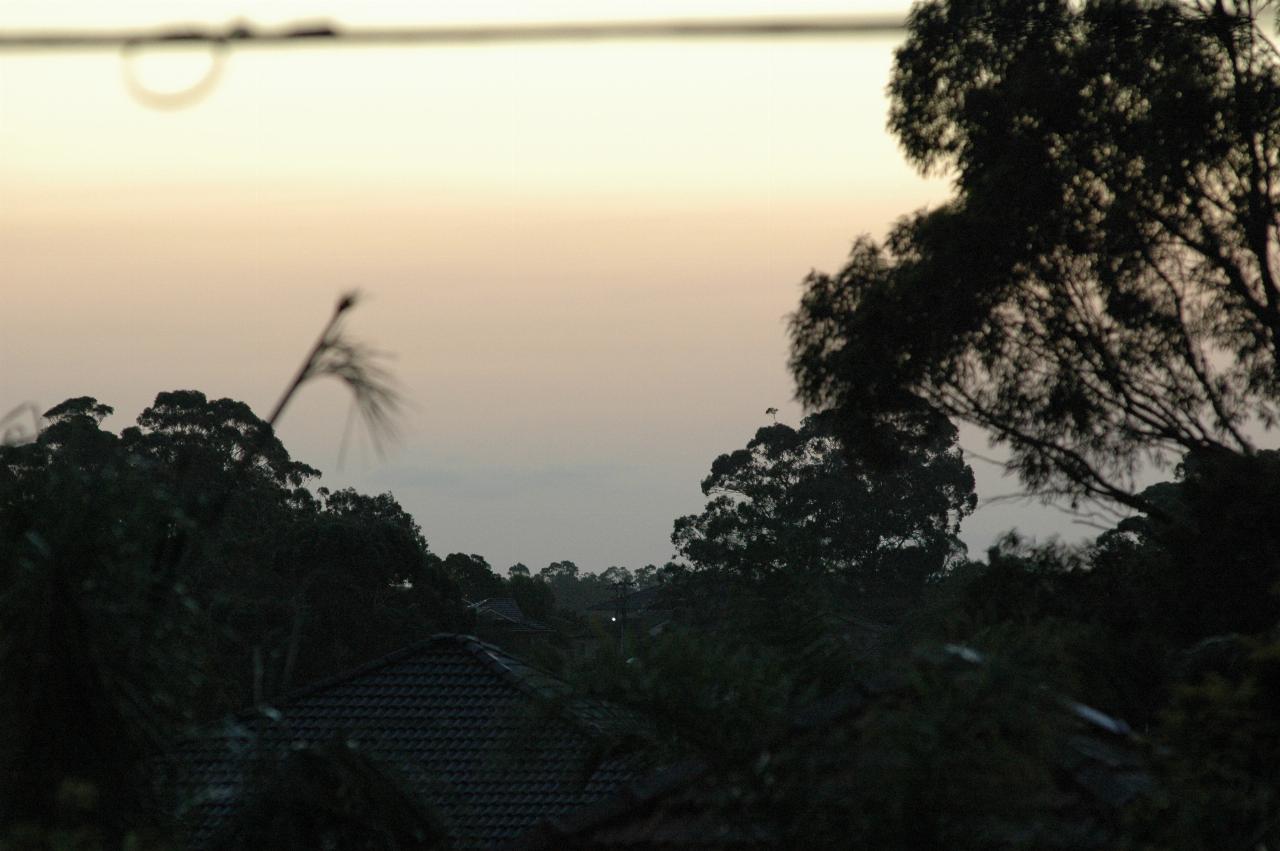 Comet Macnaught Watch: Dusk from Gibson Ave, Padstow