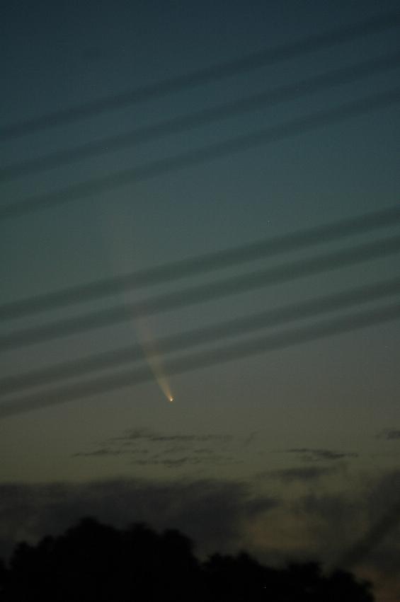 Comet McNaught as seen from Gibson Avenue