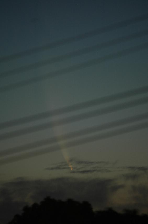 Comet McNaught as seen from Gibson Avenue