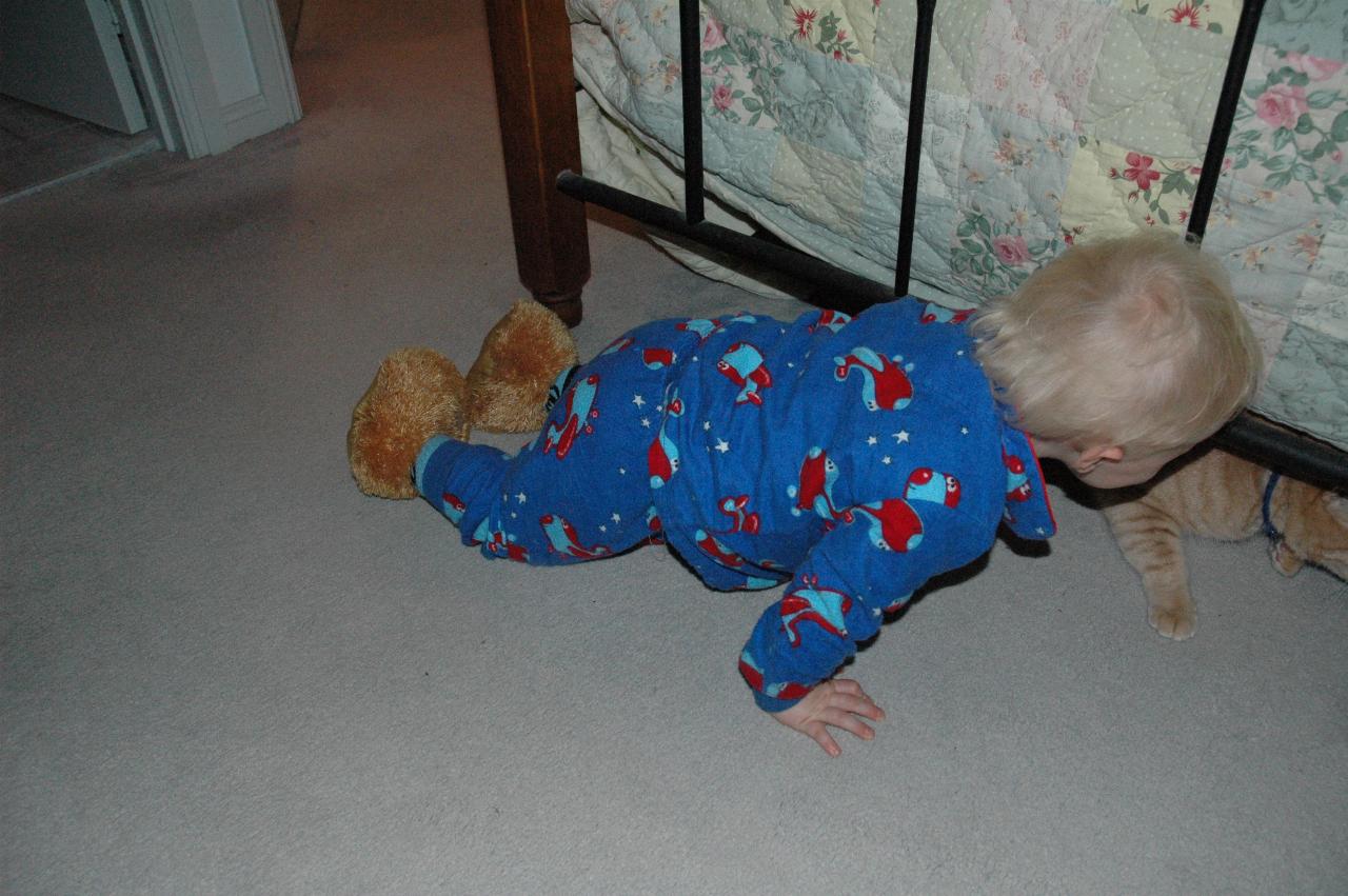 Baby in blue pyjamas, at bedside, unhappy cat underneath bed