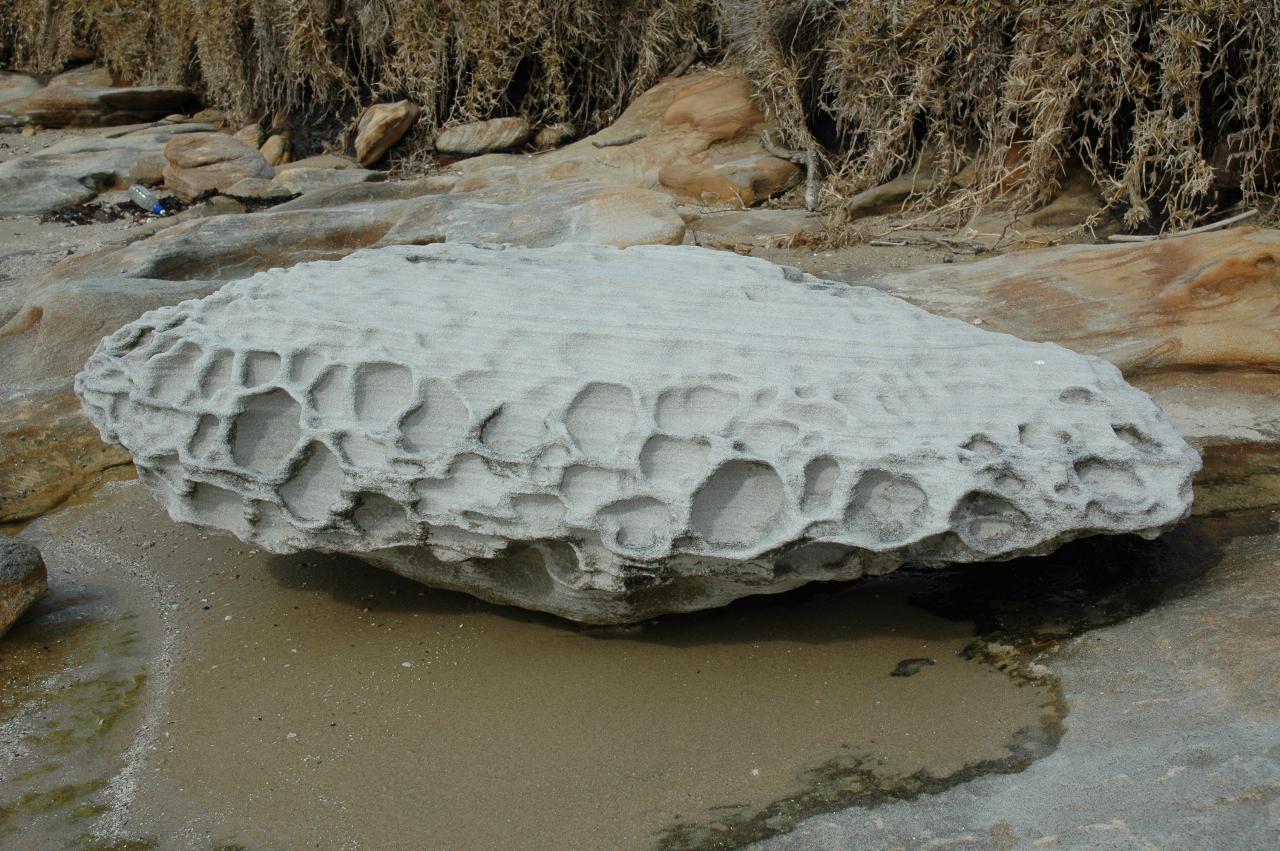 Rock at Kurnell, found during Kelly's 39th birthday picnic