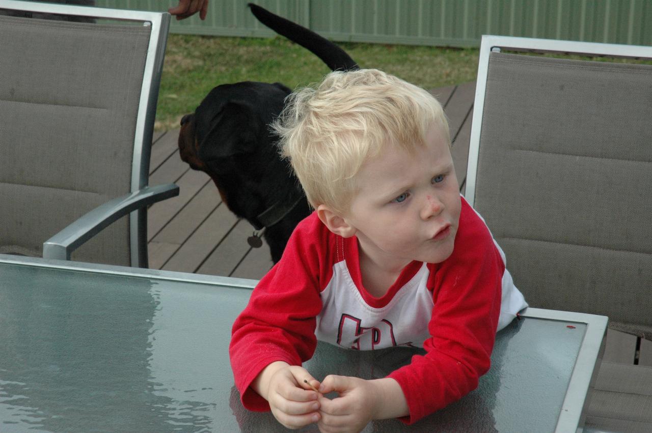 Cooper Wallace and Trapper at Kelly's 39th birthday party at Kurnell