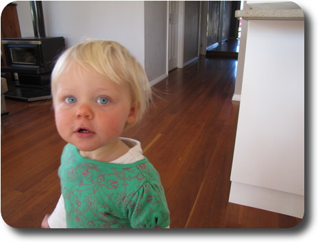 Little girl in kitchen