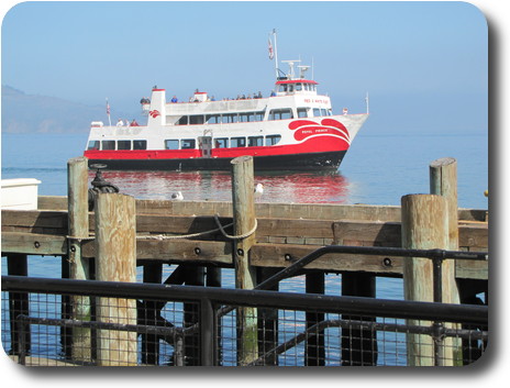 Tourist vessel passing landing wharf