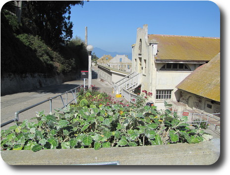 Buildings along the route to the top of the island