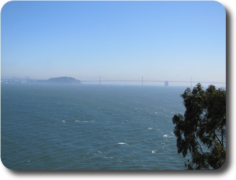 Two bridges meeting on an island