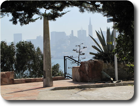 View through trees to city skyline