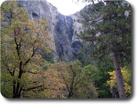 Thin waterfall seen through trees