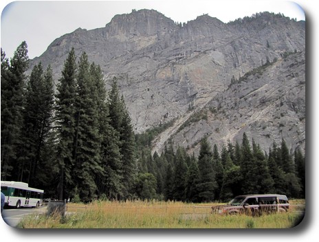 Gray granite cliff face, of folded rocks, above grassy area with pine trees behind