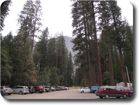 Parking lot with very tall trees and cliff face backdrop