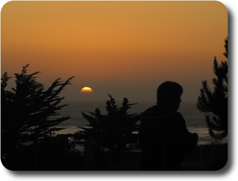 Photographer and trees silhoutted against sun just disappearing below the horizon