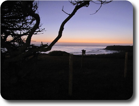 Evening colours with tree shilouette in the foreground