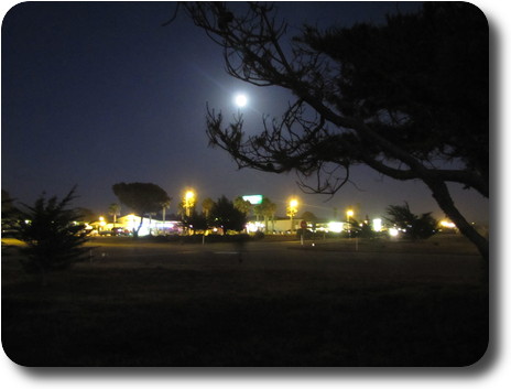 Moon and lights of San Simeon seen through tree branches