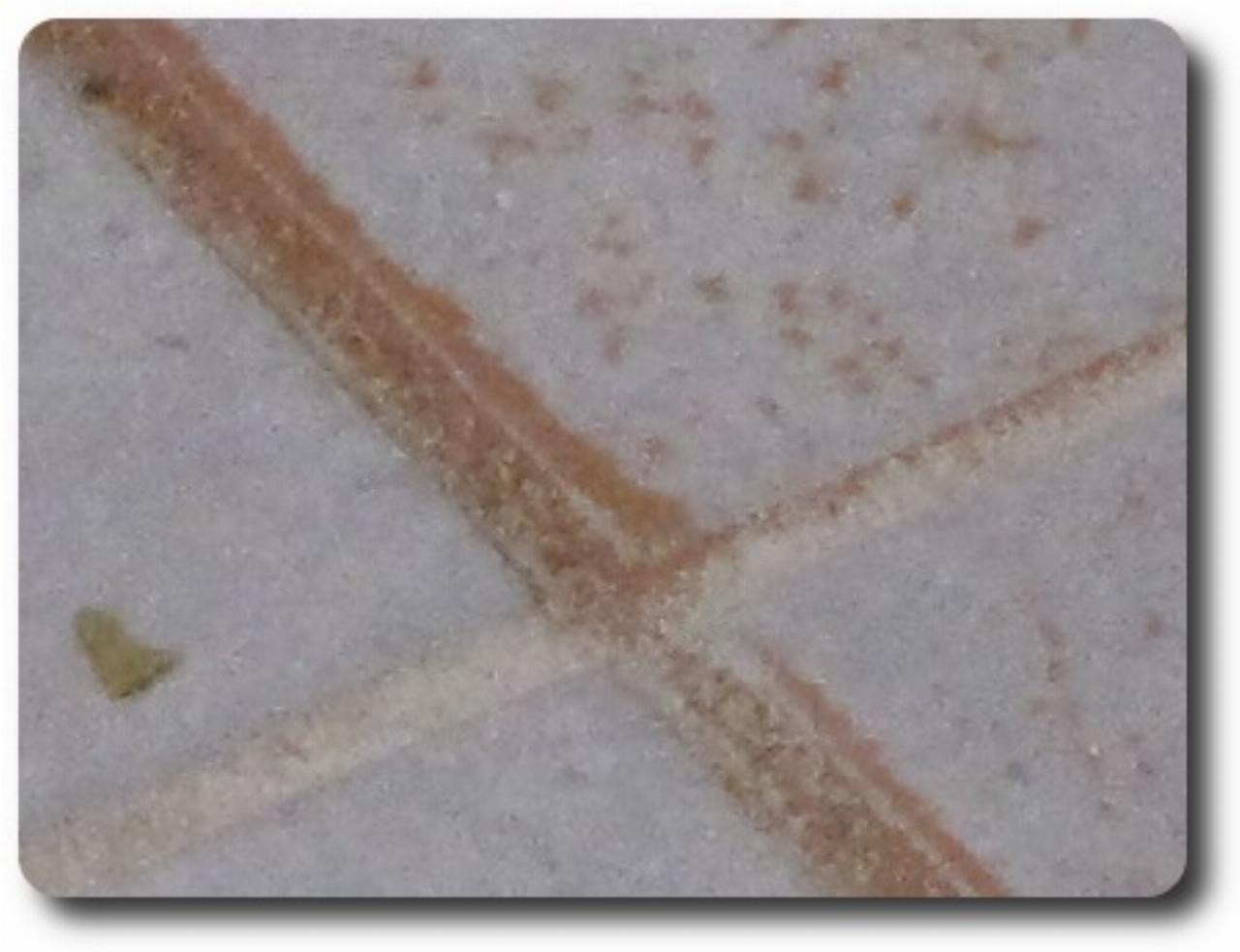 Red dust trapped on tile grout