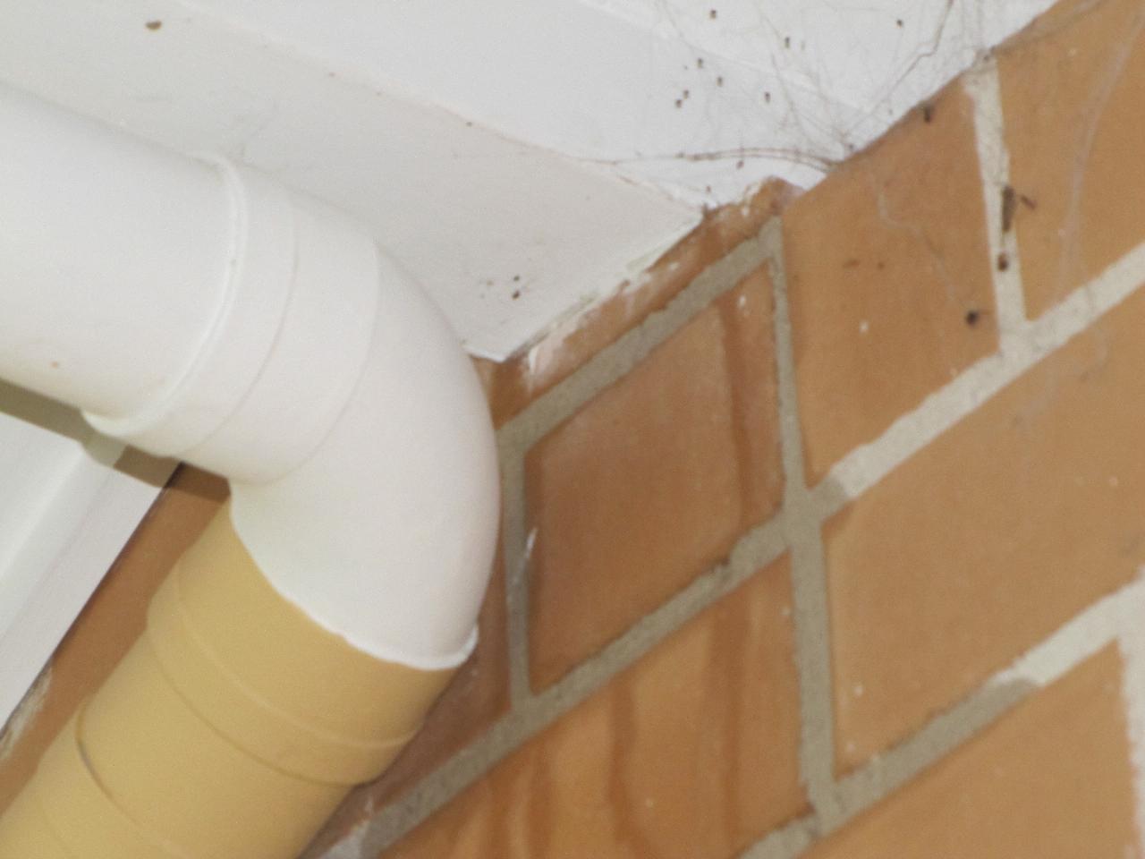 Mystery water on Wollun St home during heavy downpour (dining room wall)