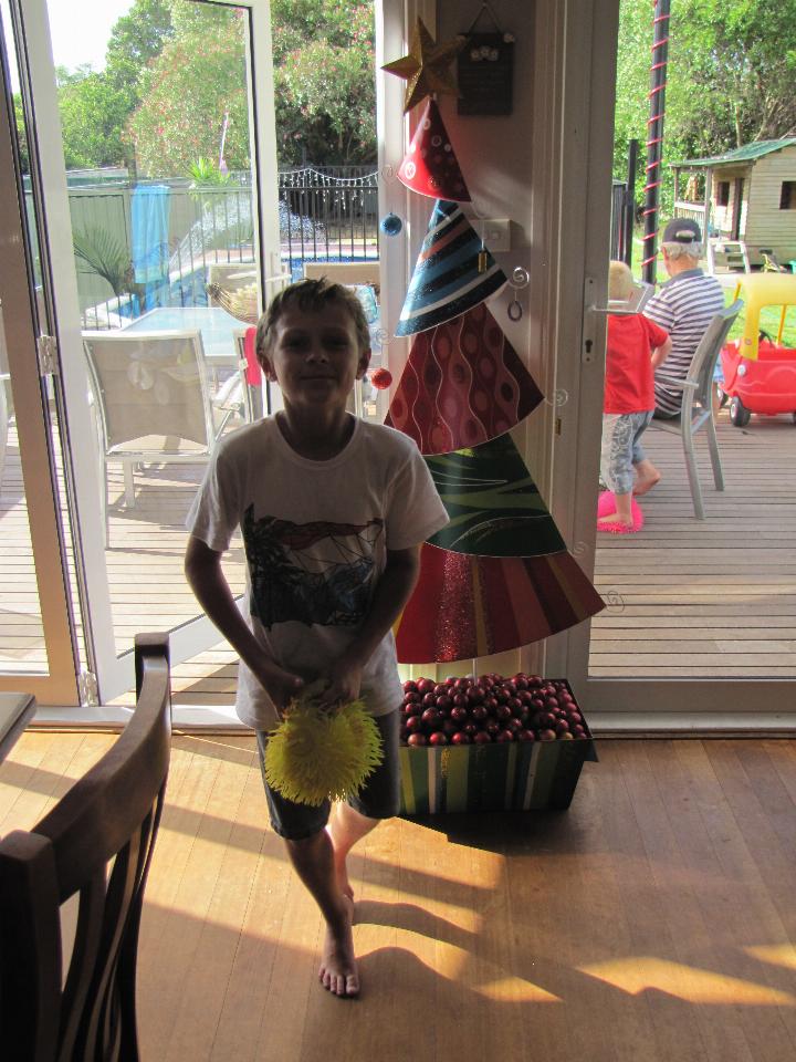 Boy in shadow, standing on one leg in front of Christmas tree