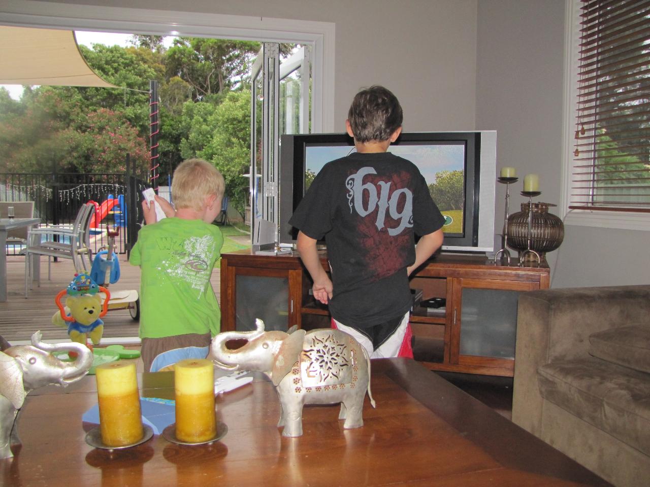 Two boys, back to camera, playing computer game