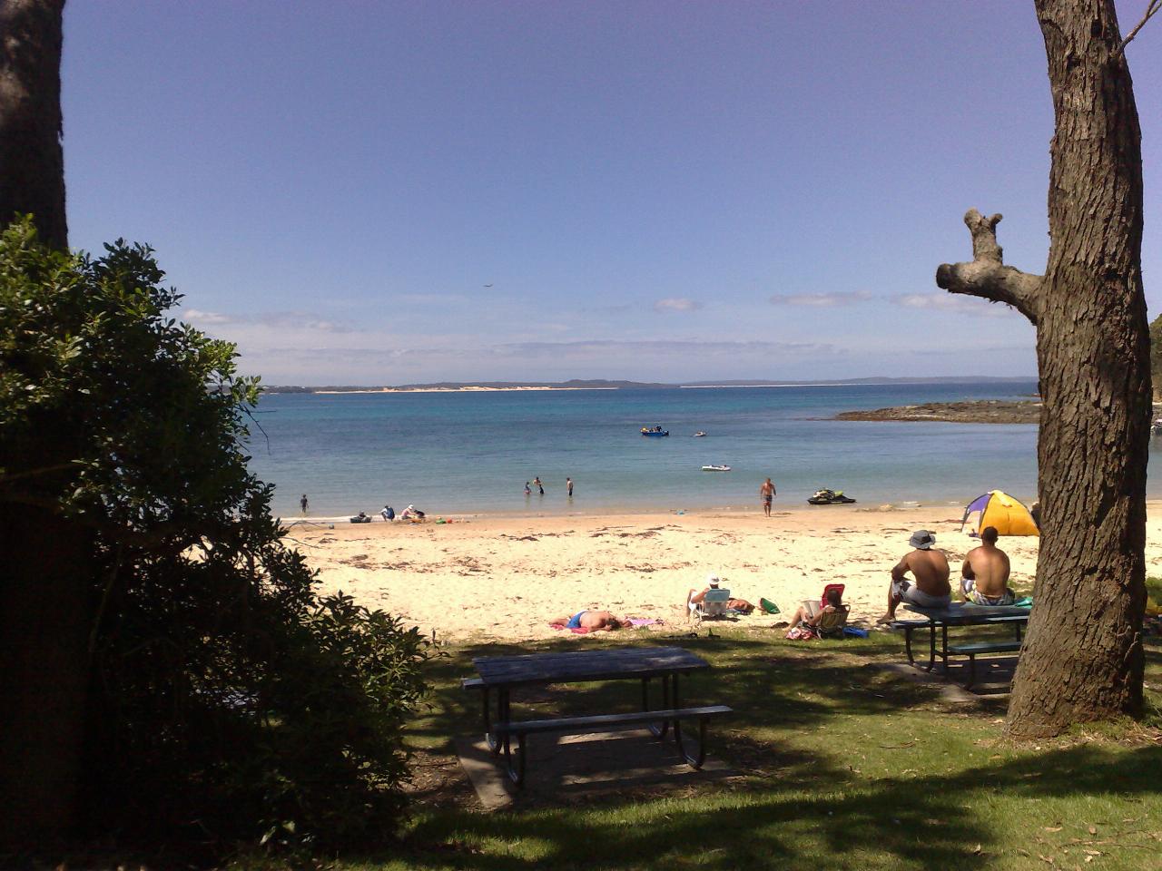 Grassy foreground, beach and ocean across to distant sand hills and forest