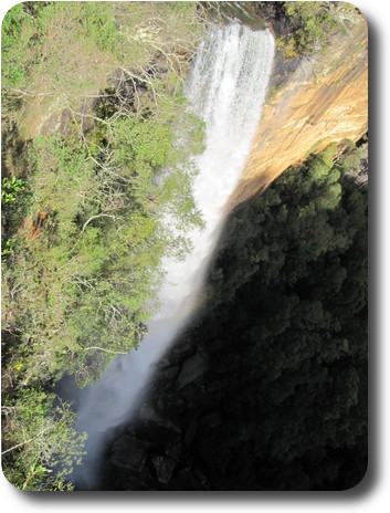 Waterfall down sandstone cliff into trees below