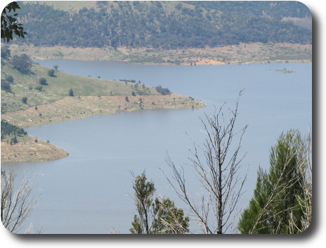 Close up view of water's edge, showing bare earth with trees growing where there should be water